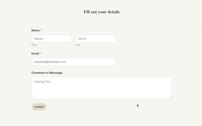 test-WordPress-theme-form - SeedProd Testing custom WordPress theme features