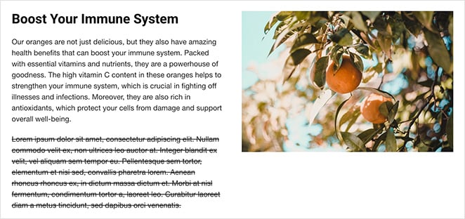 ai-placeholder-text - SeedProd Example of replacing lorem ipsum placeholder text with AI generated text