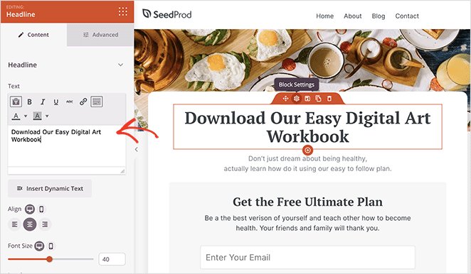 Personnaliser les titres des pages avec SeedProd