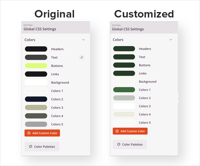 custom-WordPress-theme-colors - SeedProd Custom WordPress theme colors