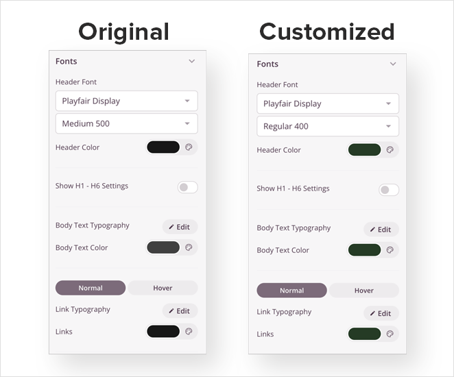 custom-WordPress-theme-fonts - SeedProd Custom WordPress theme fonts