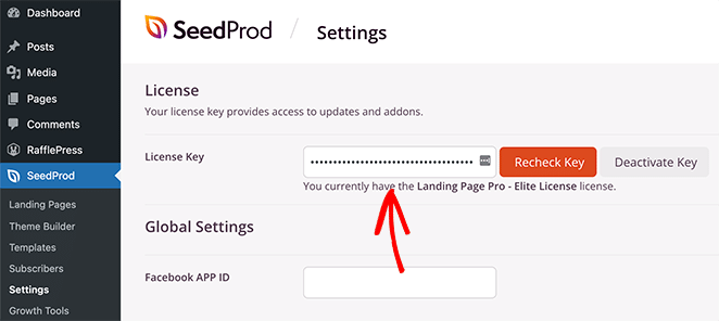 SeedProd license key input field in WordPress dashboard