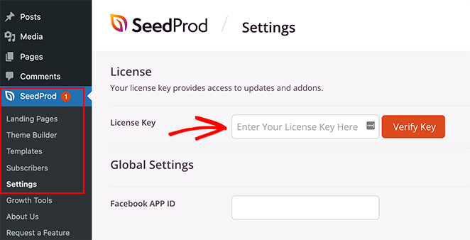 Where to enter your SeedProd license key under plugin settings
